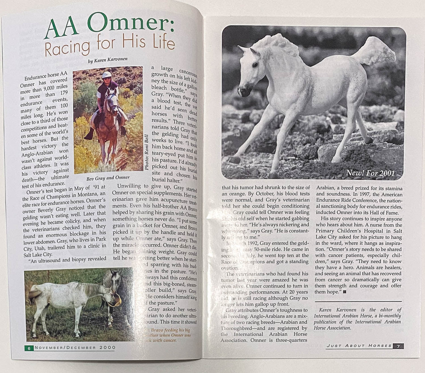 Just About Horses Magazine Vol. 27, No. 6, 2000 Nov/Dec