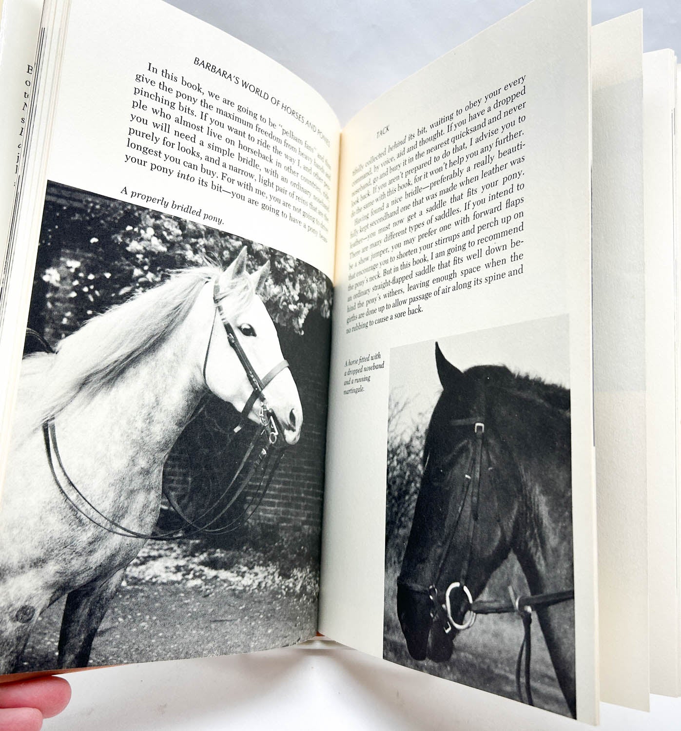 Book: Barbara's World of Horses and Ponies (sale for charity)
