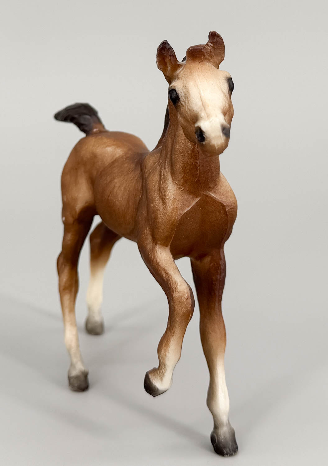 Andalusian Foal, Chestnut (sale for charity)