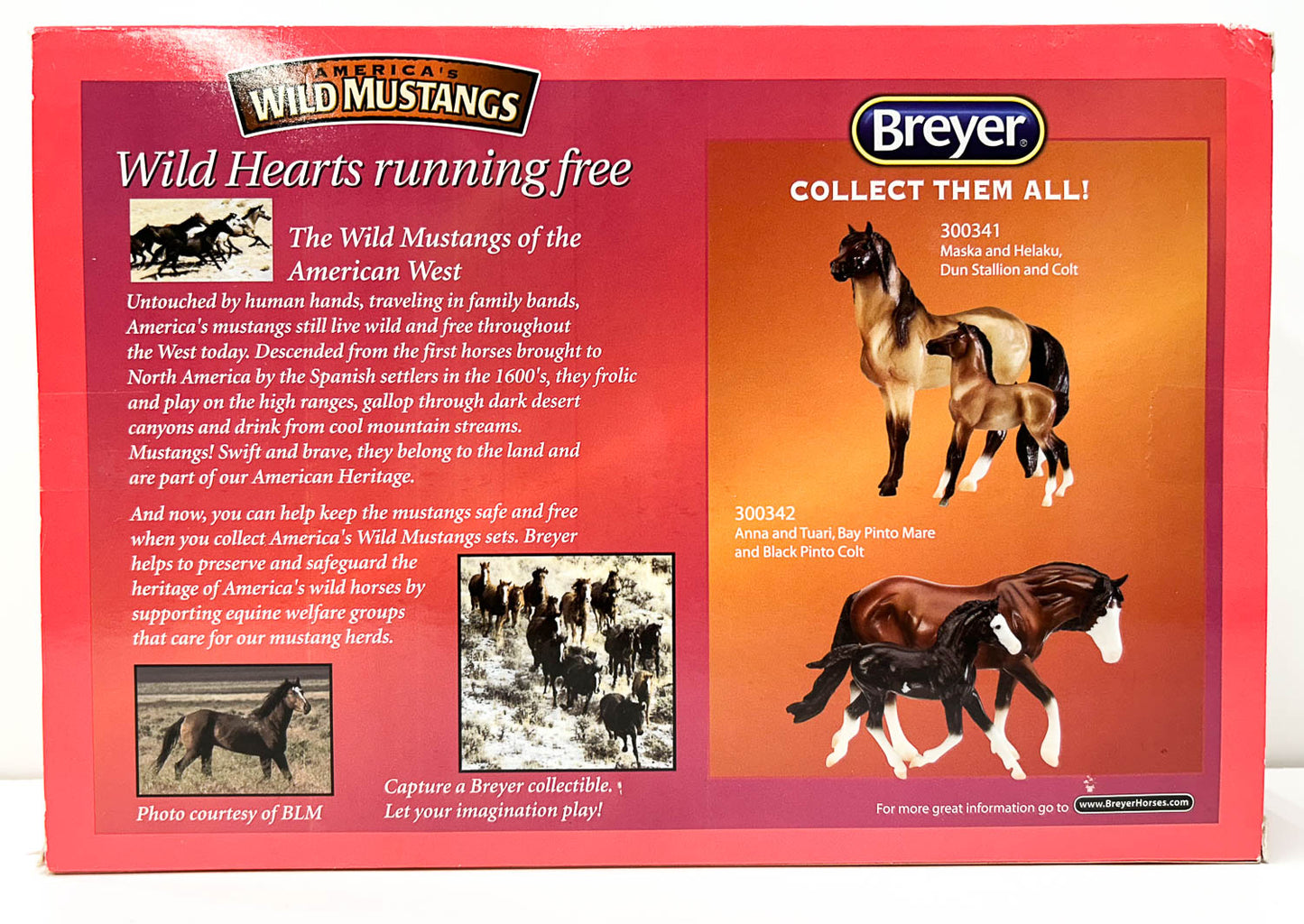 Mesteno & Mesteno The Foal ~ Maska & Helaku (Sale for charity)