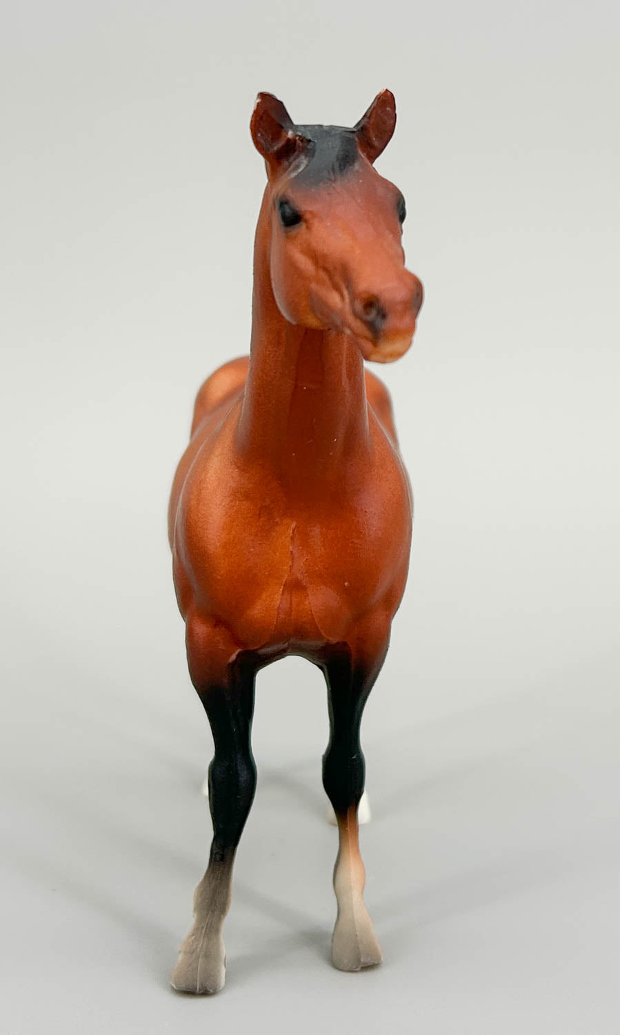 Quarter Horse Mare, Bay - VARIATION: Unpainted hind hooves (sale for charity)
