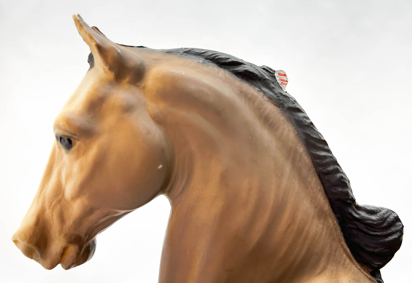 Five Gaiter ~ Commander, Chestnut (sale for charity)