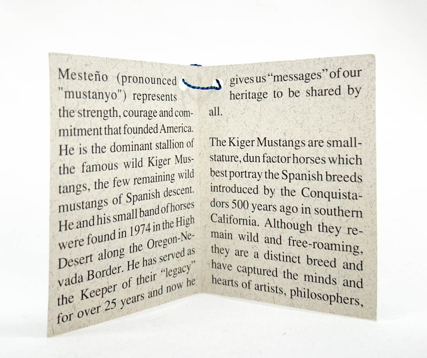 Hang Tag: Mesteno (sale for charity)