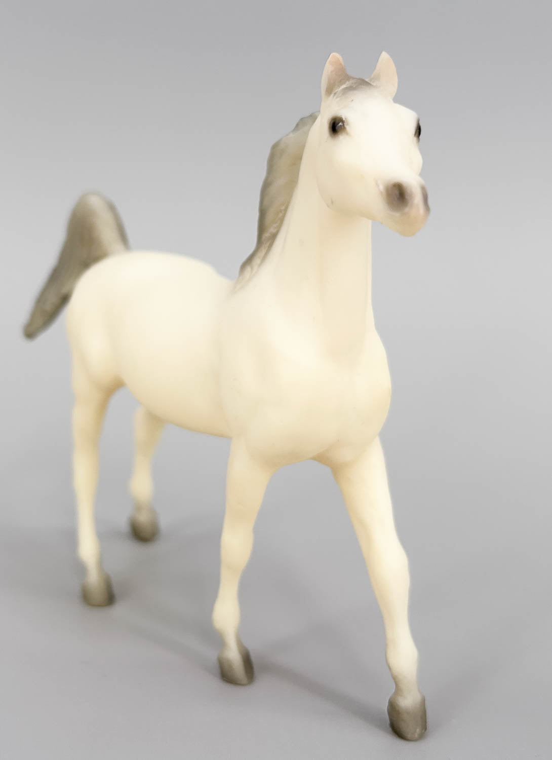 Arabian Stallion, Alabaster (sale for charity)