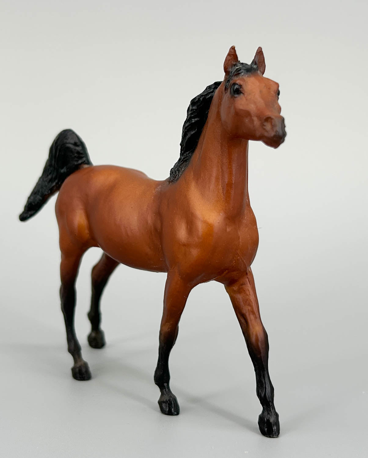 Arabian Stallion, Bay (sale for charity)