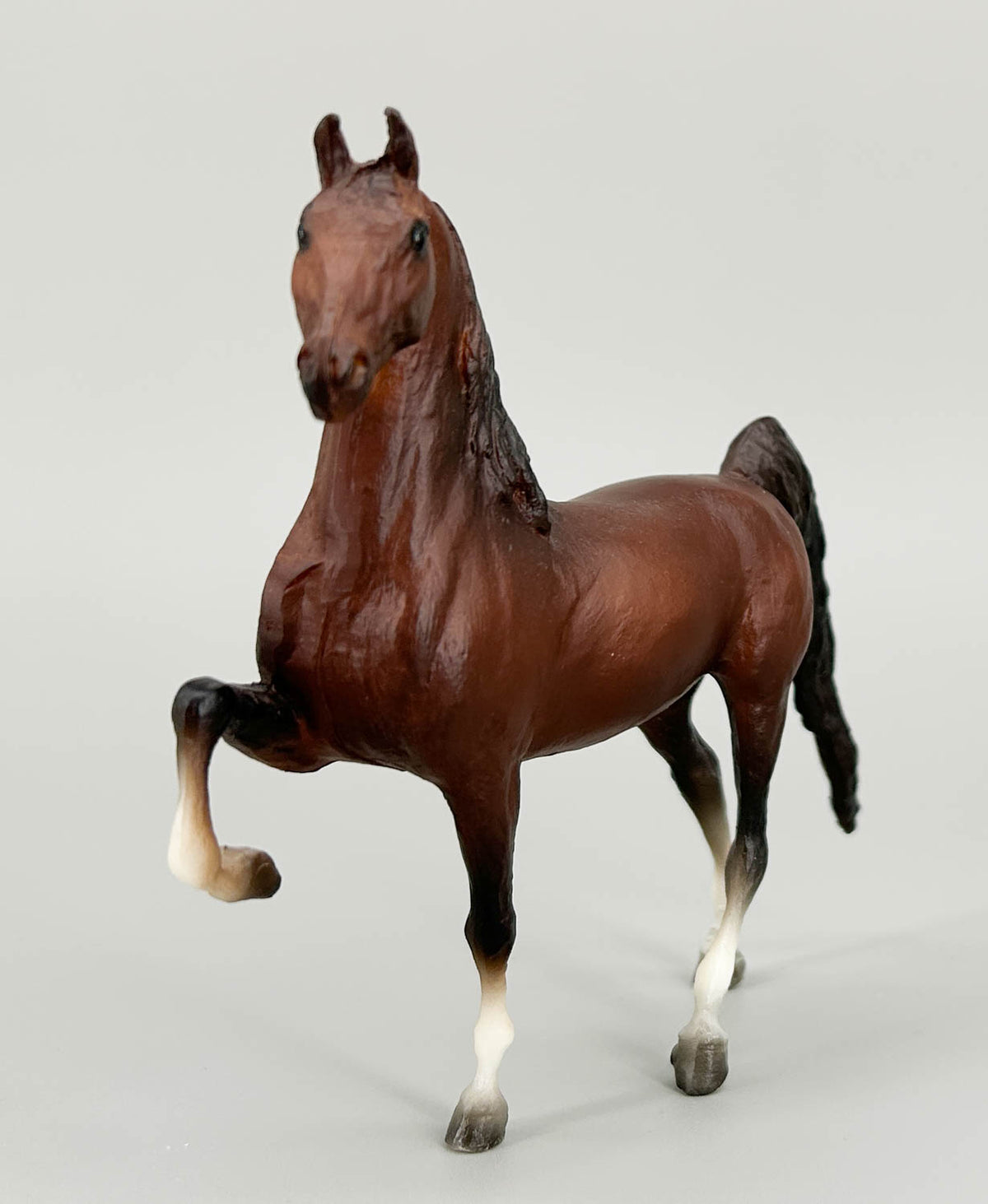 American Saddlebred Stallion, Dark Chestnut - JCP SR (sale for charity)