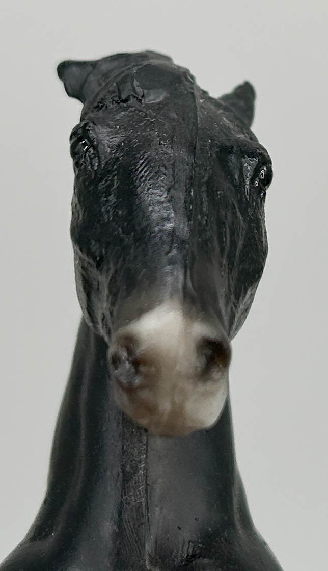 Clydesdale, Black Shire (sale for charity)