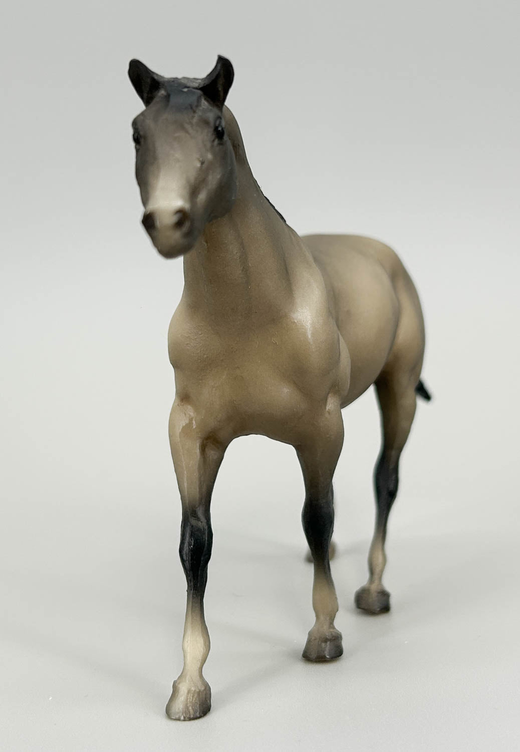 Quarter Horse, Grey - 1988 JCP SR (sale for charity)