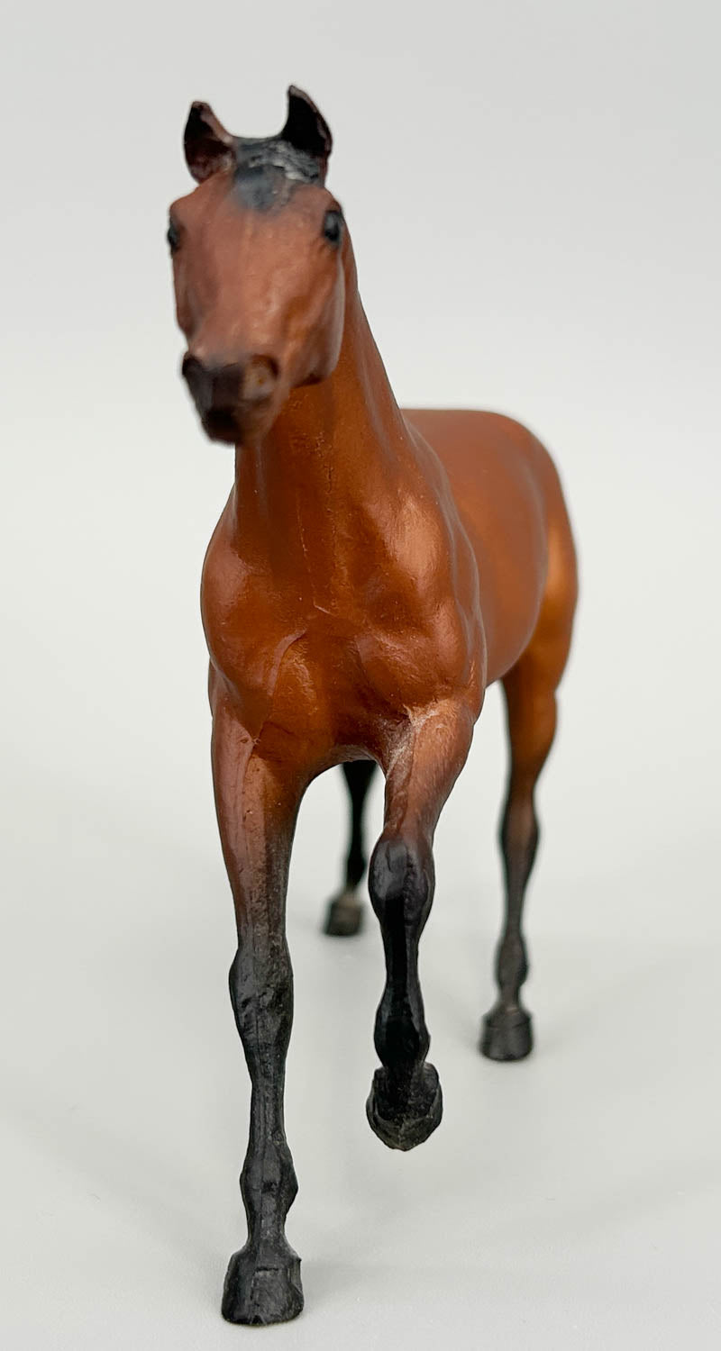 Thoroughbred Stallion, Bay (sale for charity)