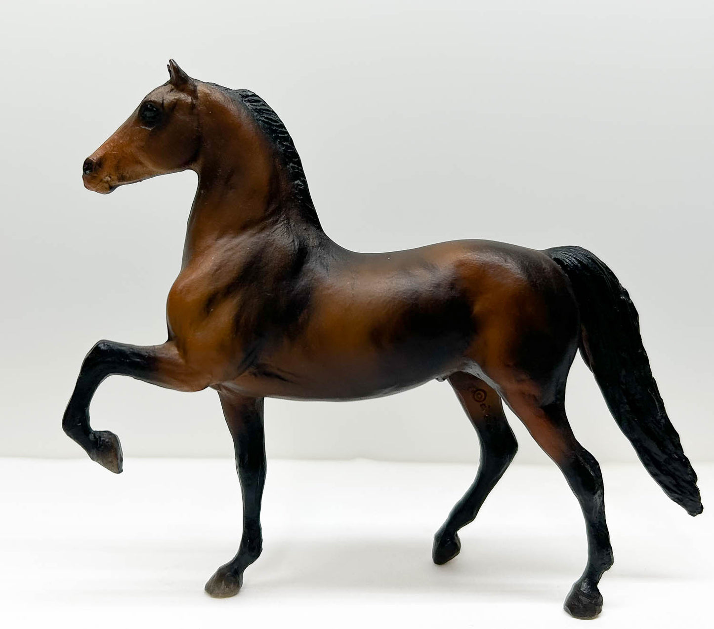 Morgan Stallion, Shaded Bay - JCP SR (sale for charity)