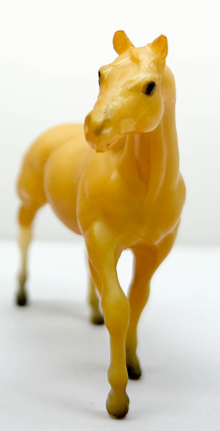 Quarter Horse Stallion, Palomino (sale for charity)