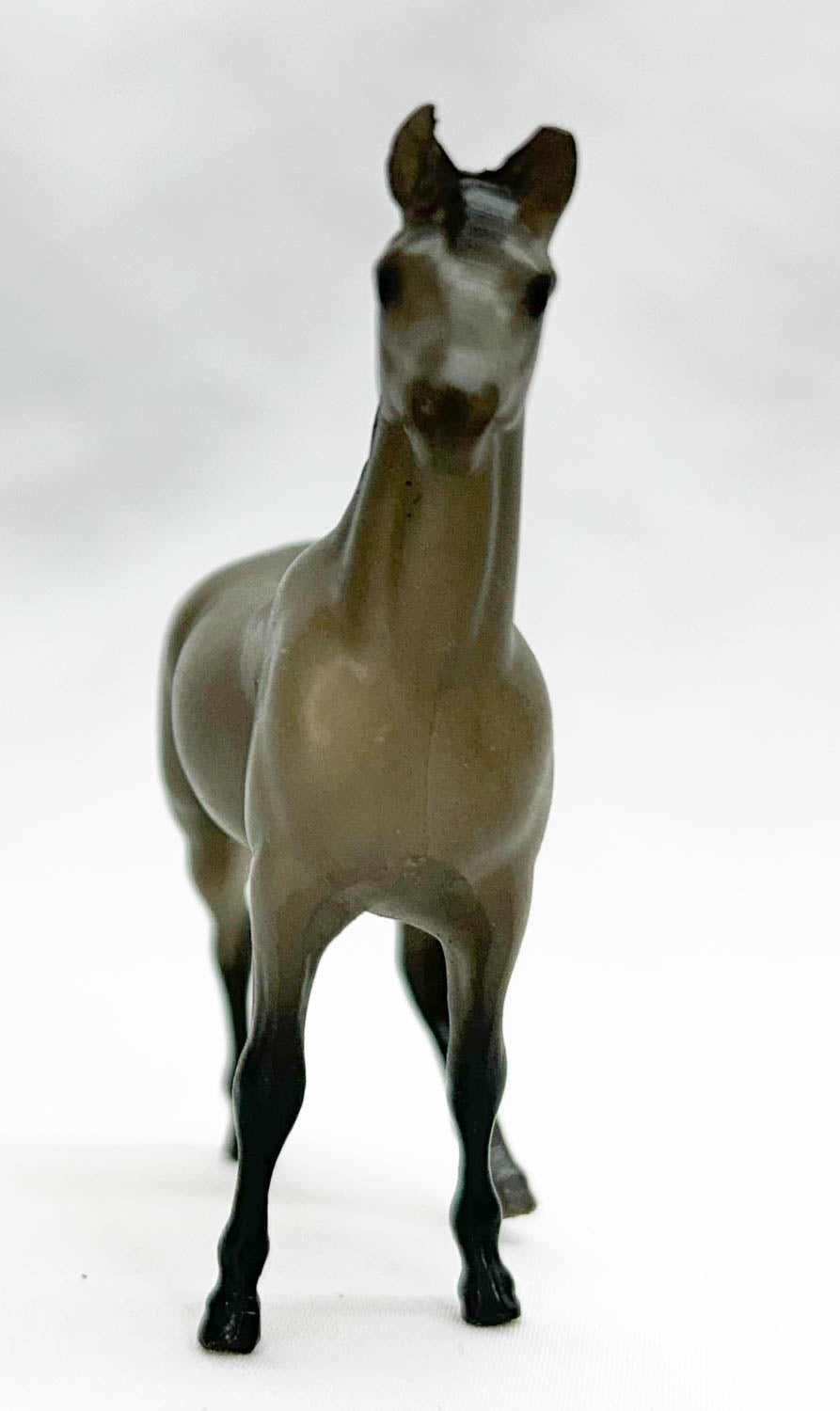 Swaps, Grey - Sears SR