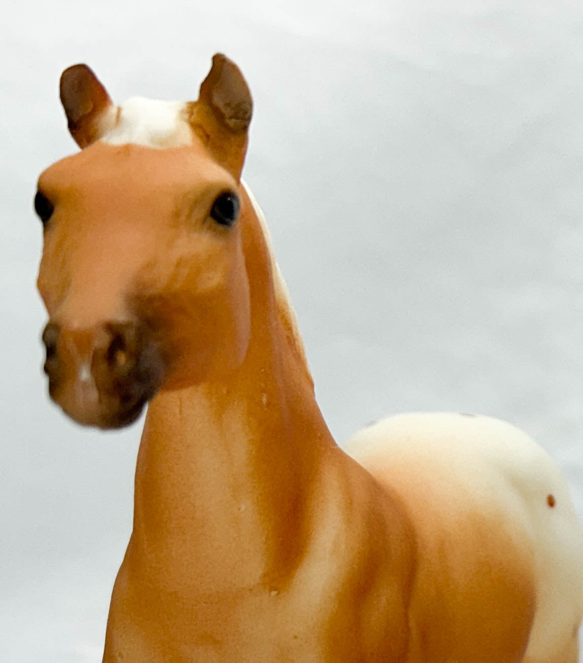 Standing Stock Horse Foal, Palomino Appaloosa - JC Penney SR (sale for charity)