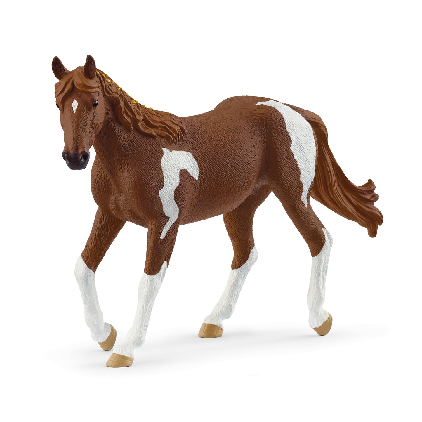 Paint Horse Mare, Chestnut Pinto