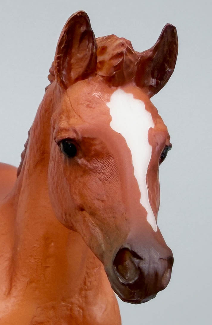 Haflinger Foal, Chestnut - Tractor Supply SR