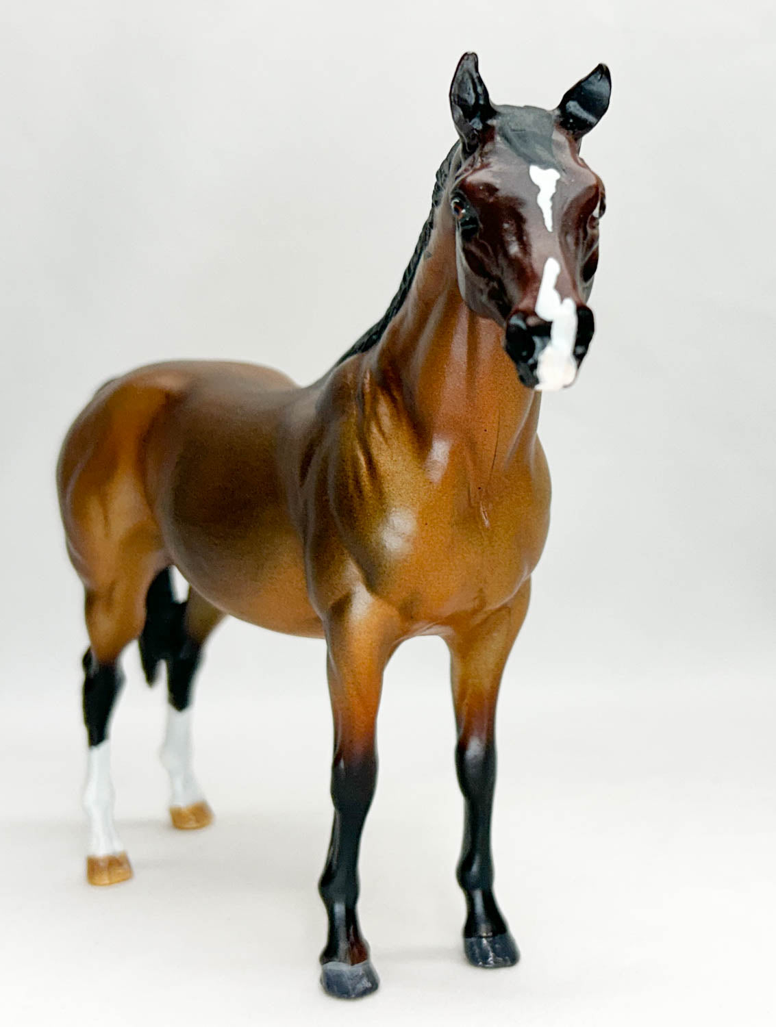 Terrang ~ Haboob, Bay Roan - Custom by Jessica Fry