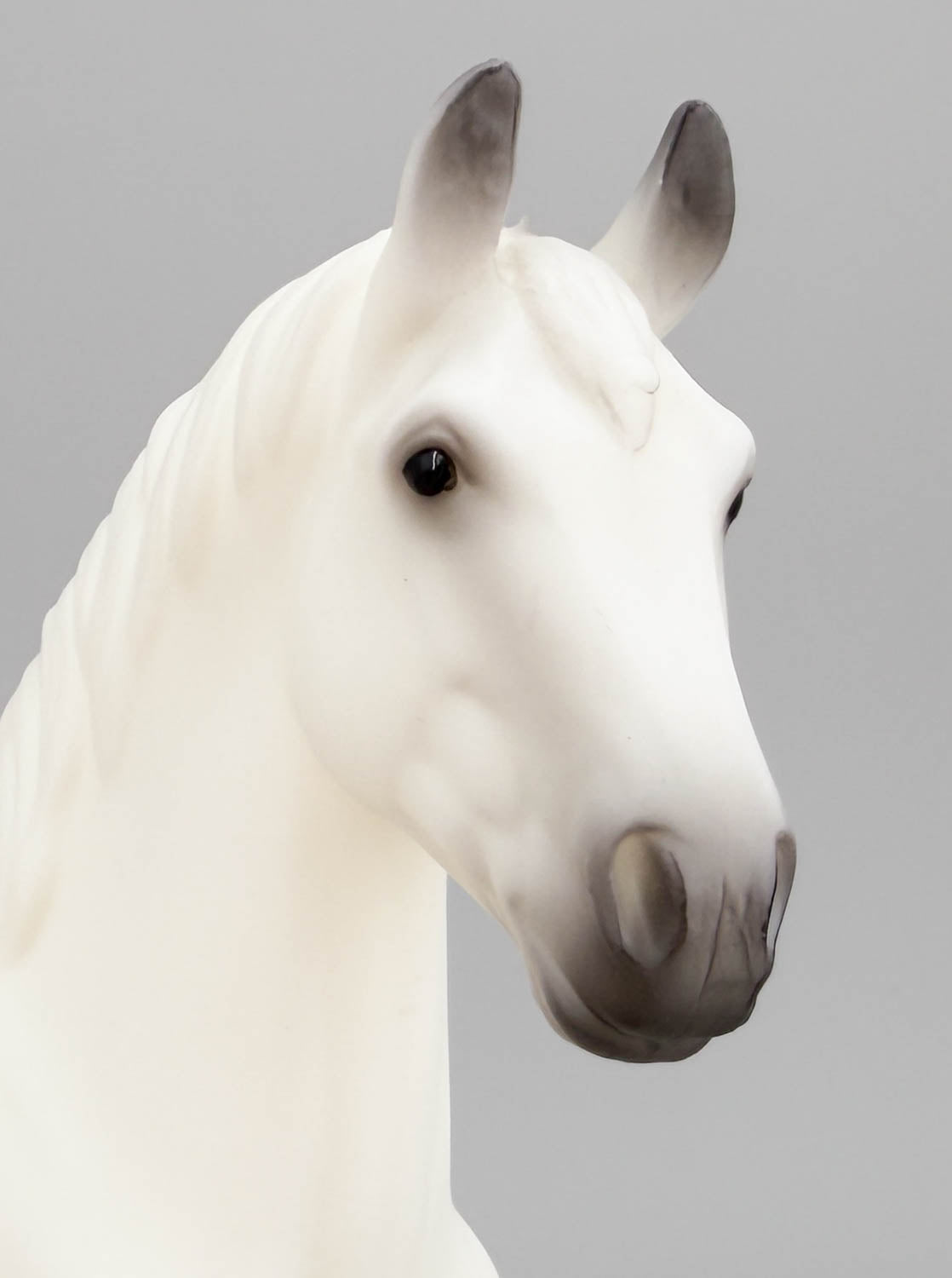 Walking Draft Horse ~ Percheron - TSC SR