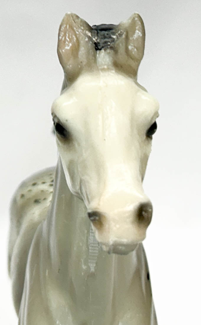 Family Arabian Foal ~ Spot, Grey Appaloosa, Glossy - VARIATION
