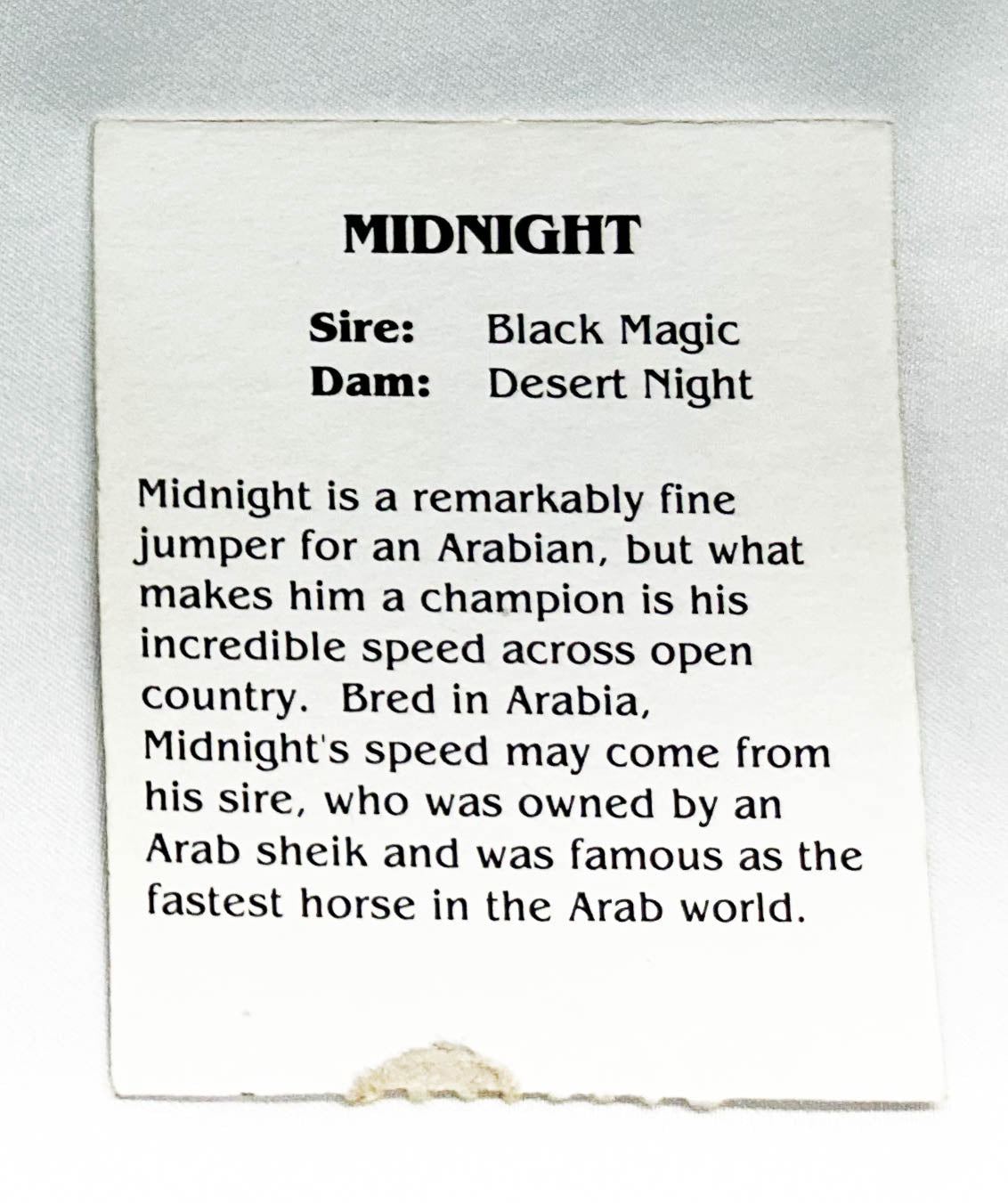 Grand Champions Original Stallion ~ Midnight with Jump & Tack!