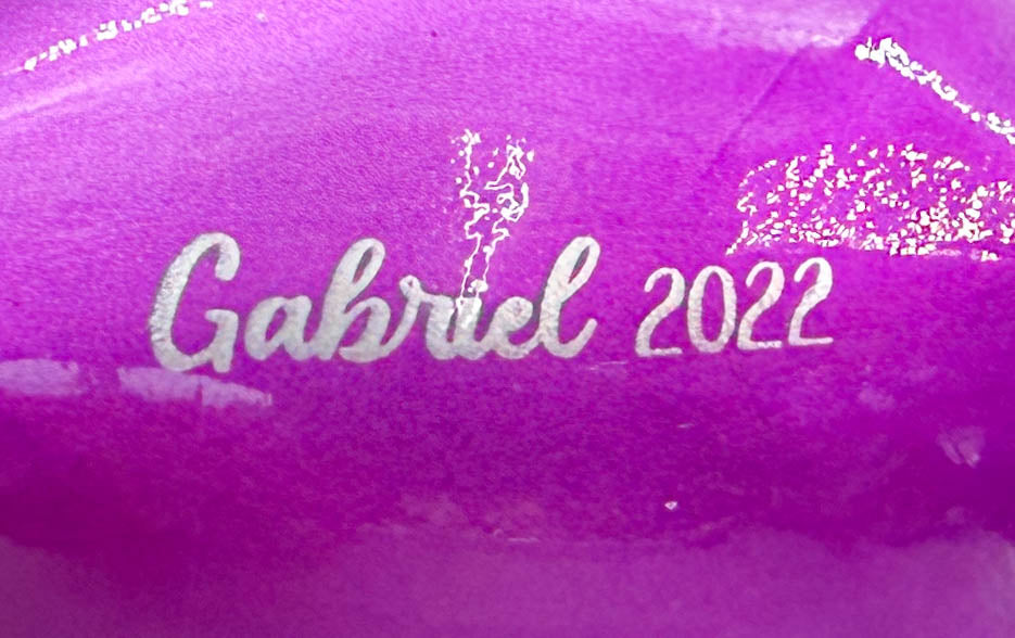 German Riding Pony ~ Gabriel, Purple - 2022 Christmas Web Special