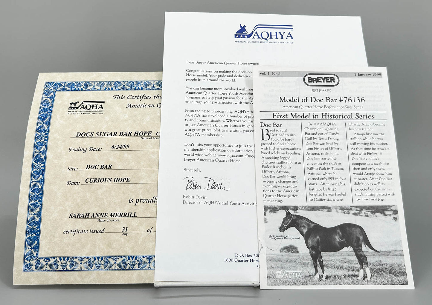 Ideal Quarter Horse ~ Progeny of Doc Bar w/ Extras