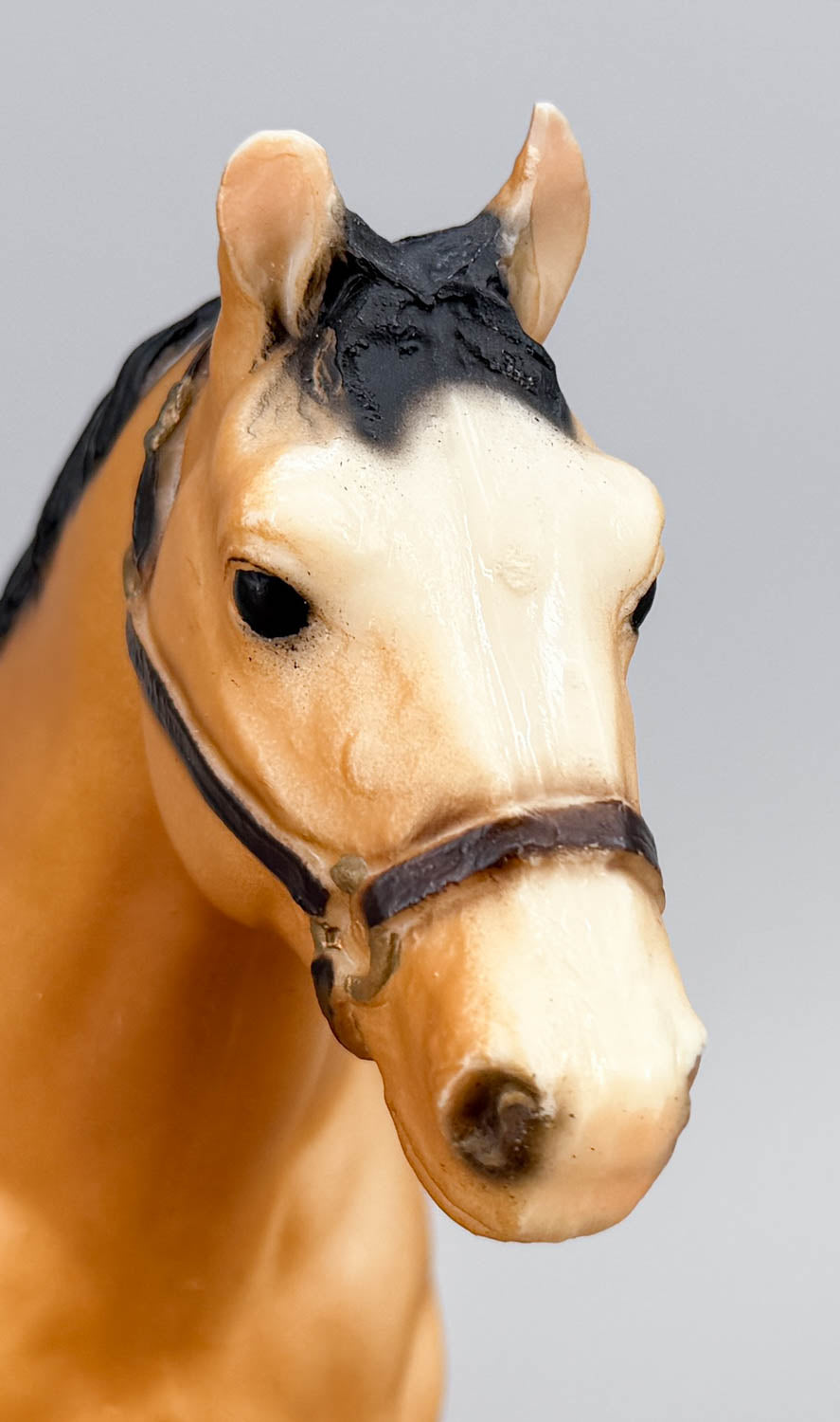 Quarter Horse Gelding ~ Two Bits, Buckskin (body)