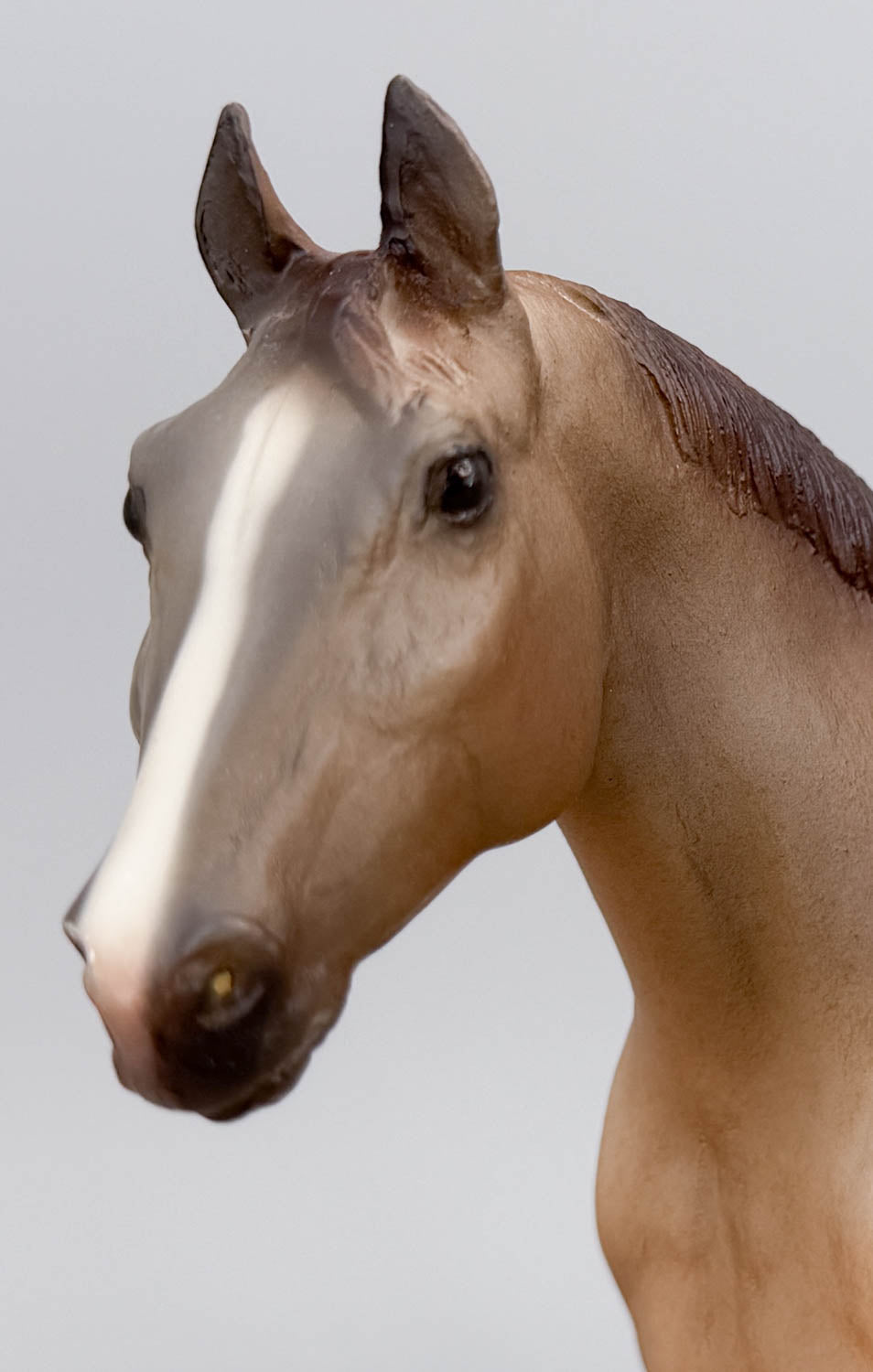 Quarter Horse Yearling ~ Calypso, Red Roan