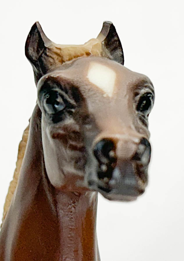 Running Foal, Chestnut Pinto (body)
