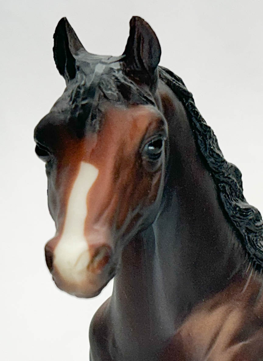 Running Mare ~ Special Delivery - 1995 SLT SR