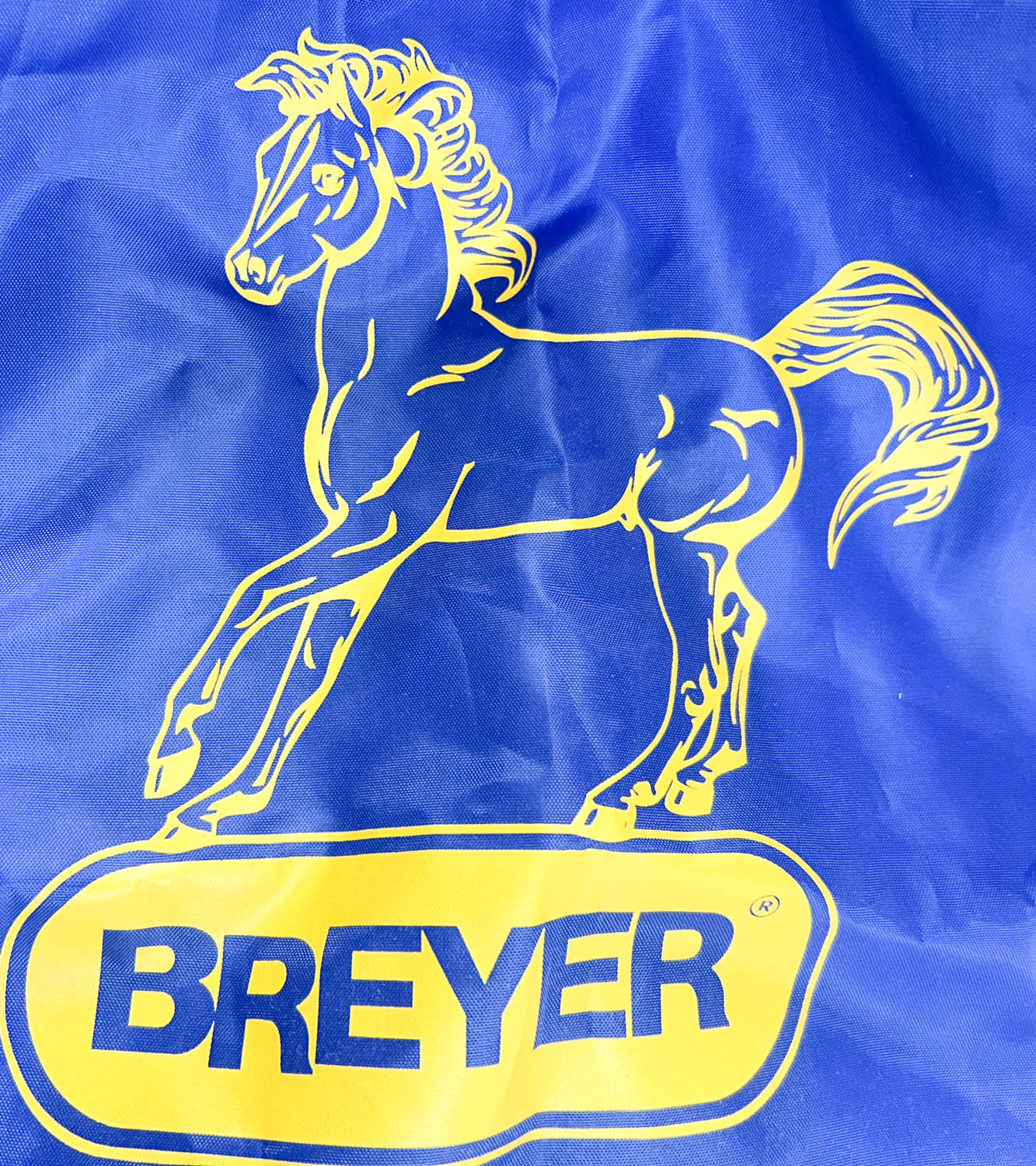 Breyer Backpack - Ethereal Logo