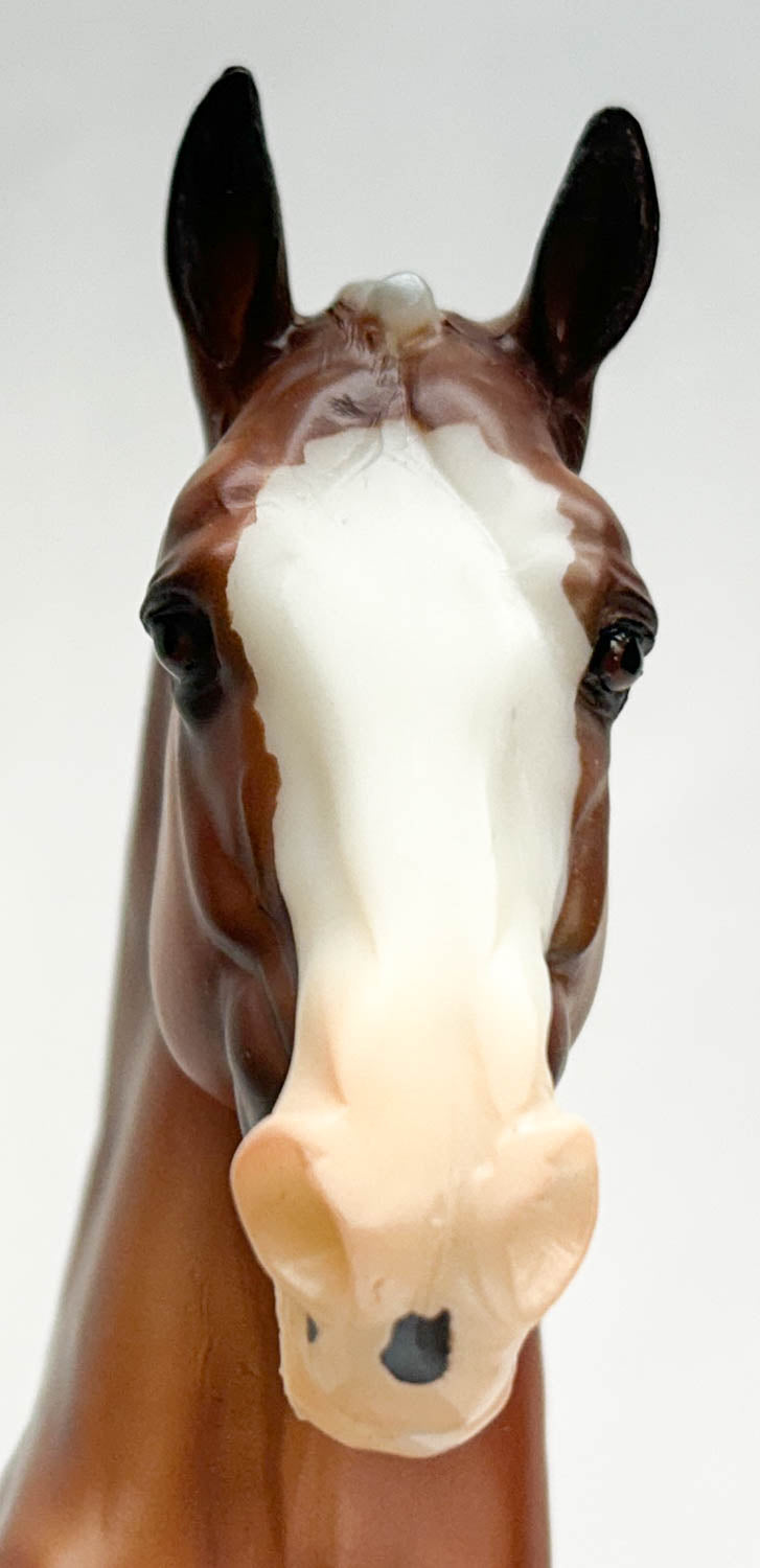 Totilas ~ Seize The Day Surprise, Silver Bay (Matte) - 2025 BreyerFest SR