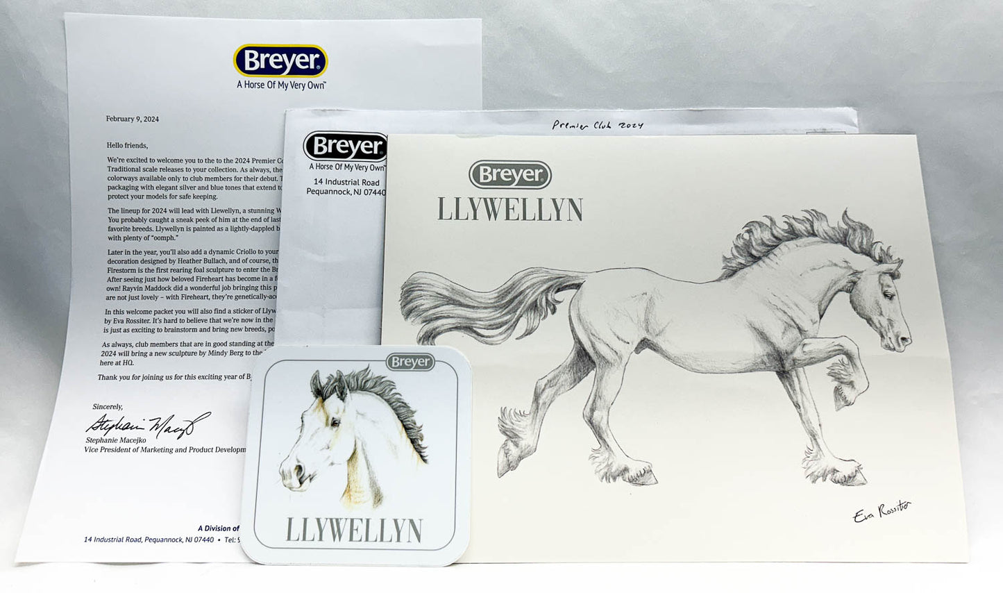 2024 Premier Club Paperwork, Including Llewellyn Sketch Print