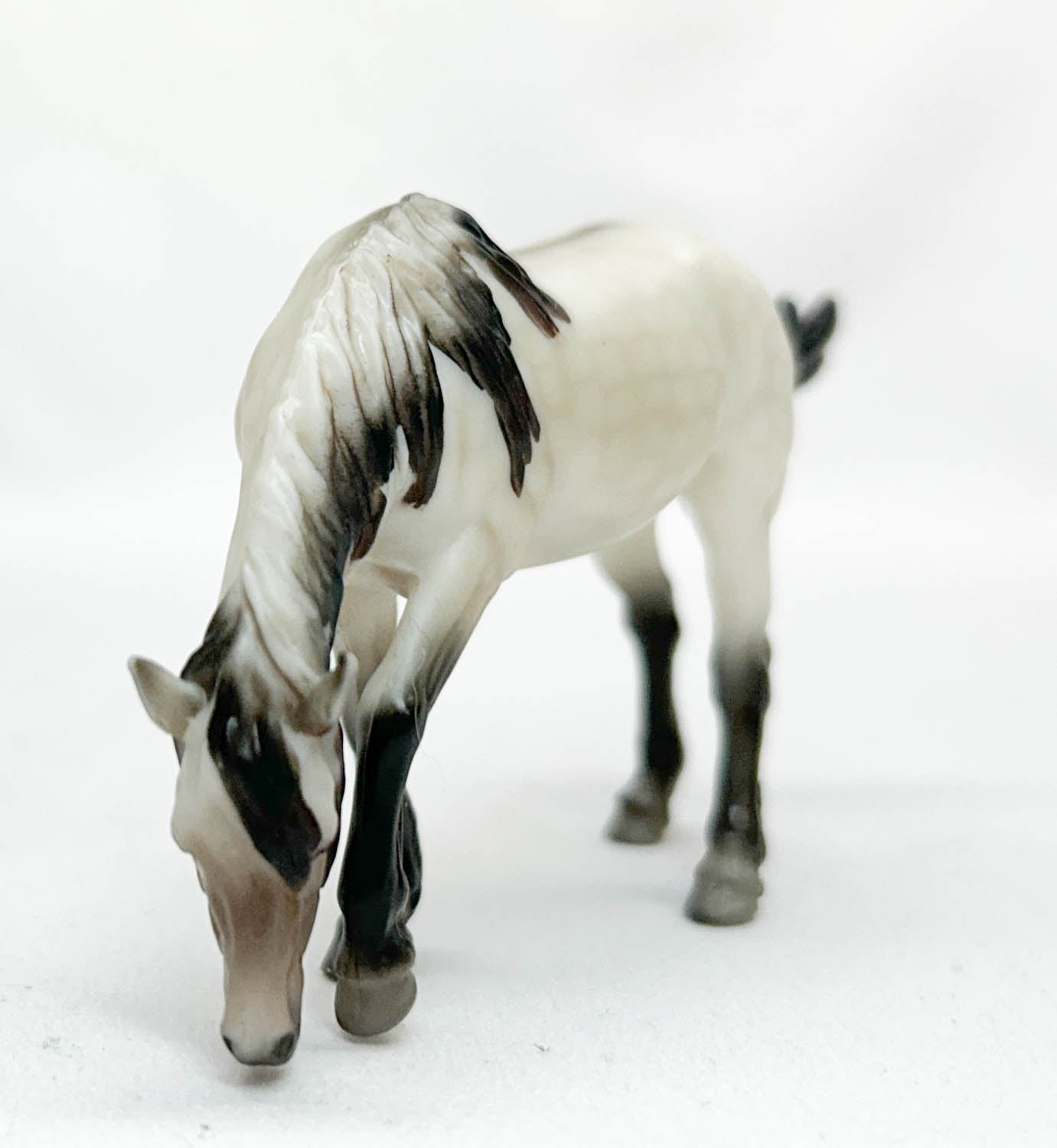 Grazing Mustang Mare ~ Isla - 2025 Premier Club SM