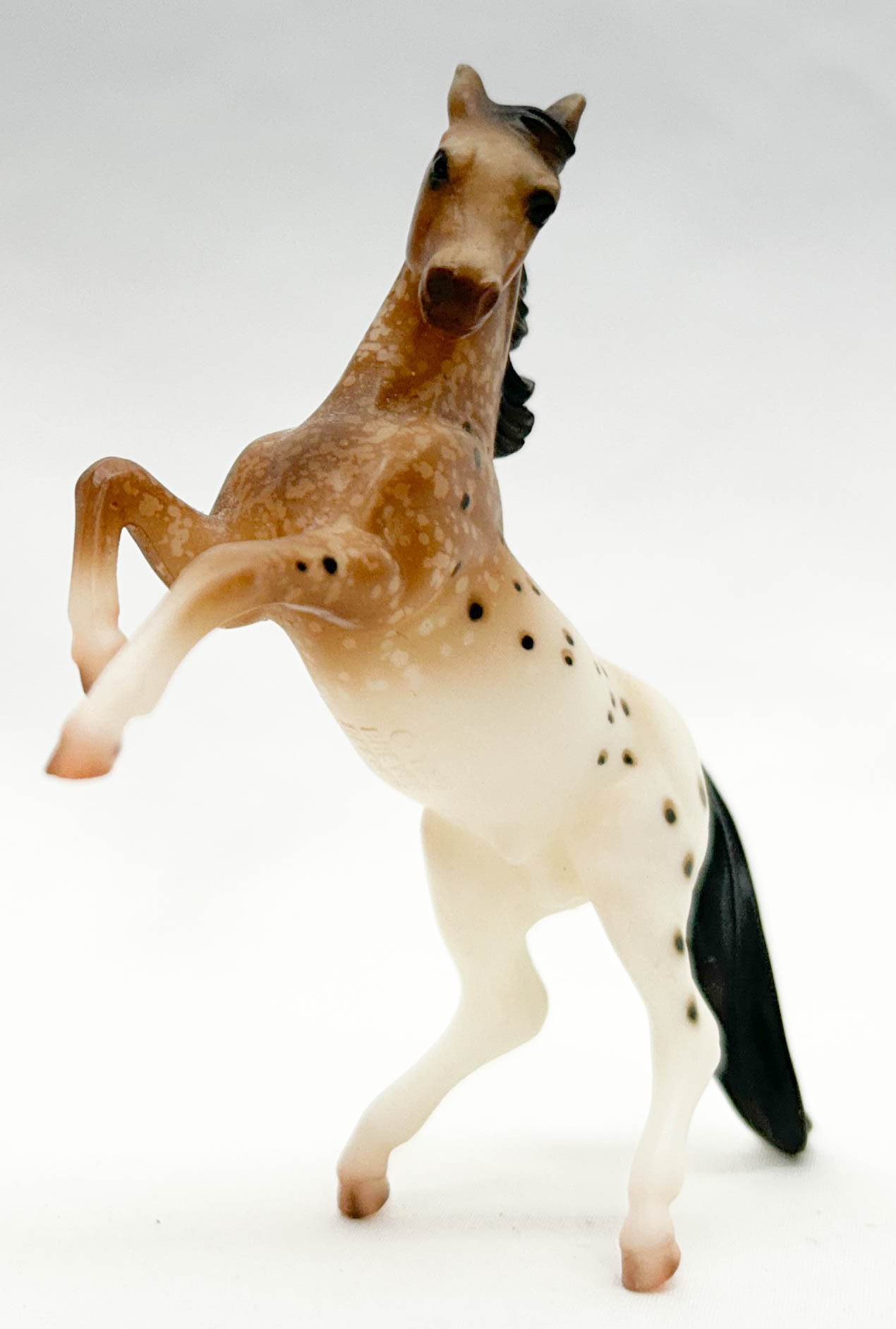 Rearing Arabian ~ Eagle - Vintage Club