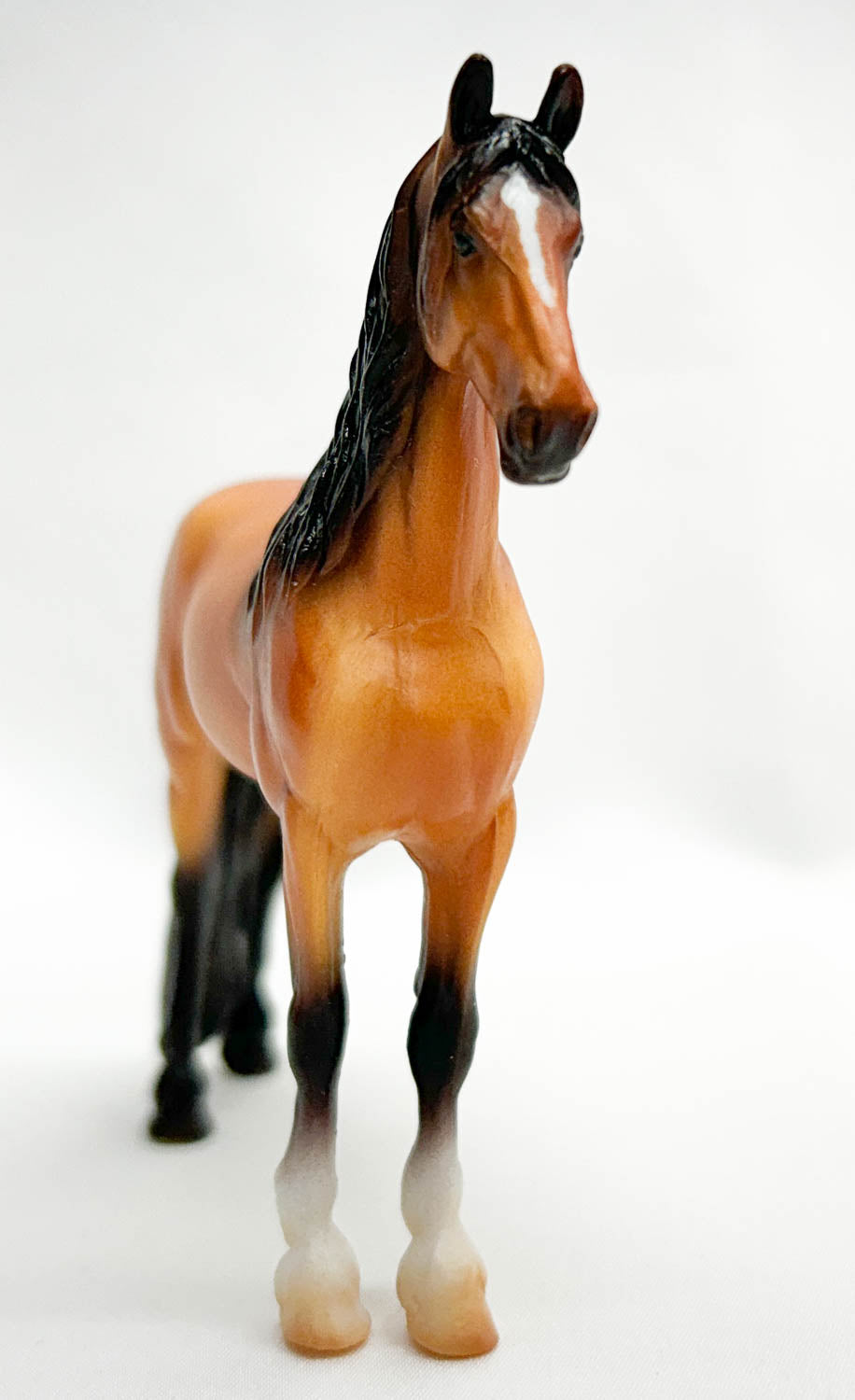 Standing Friesian, Dun