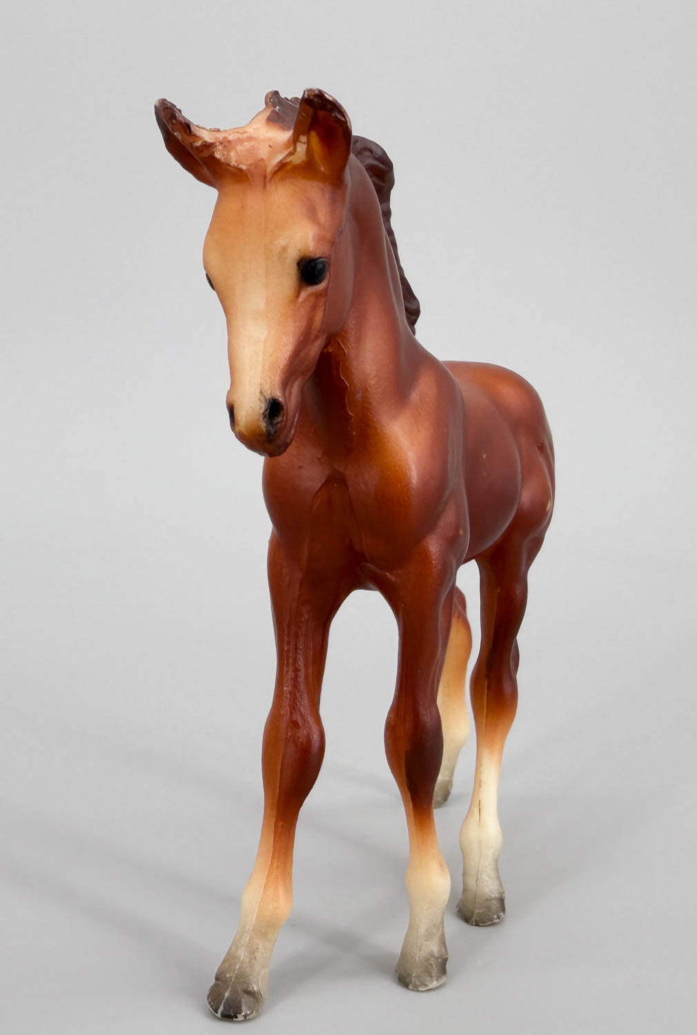 Arabian Foal, Chestnut (Body)