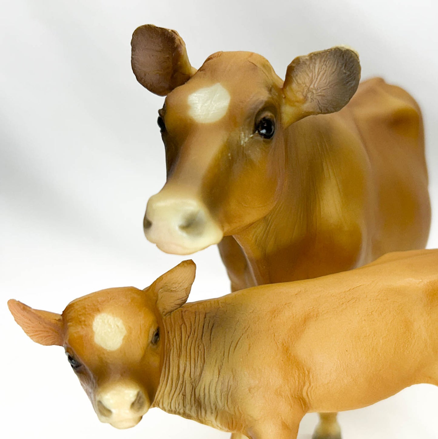 Cow (Polled) and Calf ~ Jersey Cow Family Gift Set