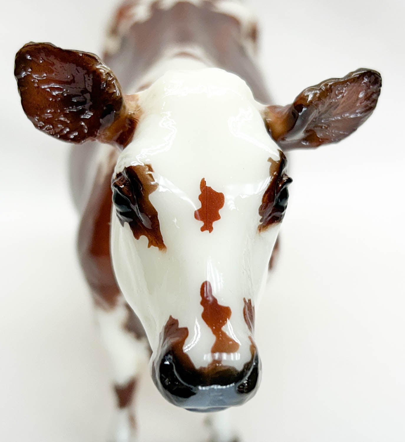 Cow ~ Elsa - 2022 Web Special