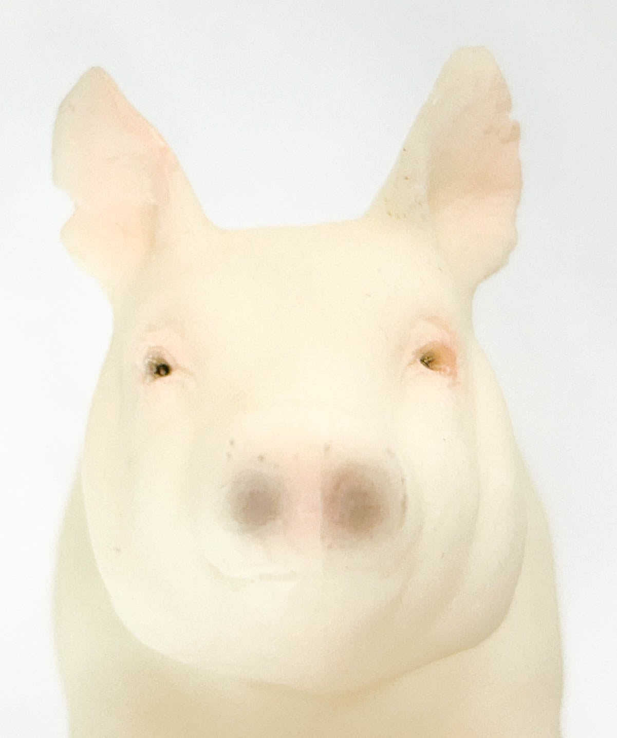 Hog ~ Jasper the Market Hog