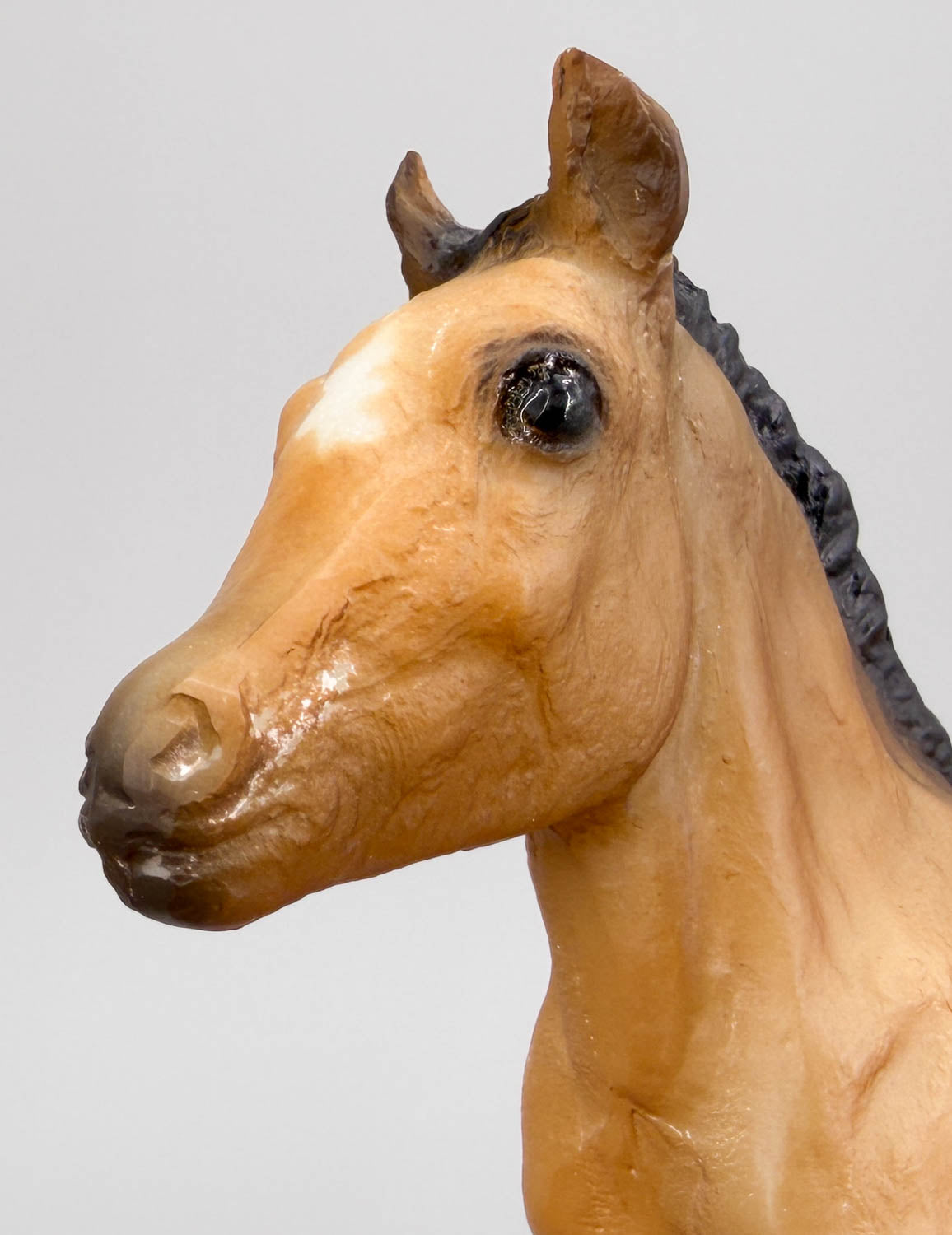 Sea Star ~ Chincoteague Foal, Buckskin