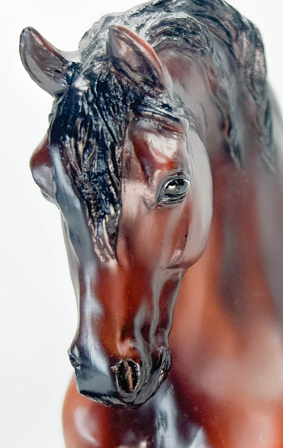 Sherman Morgan ~ Justin Morgan