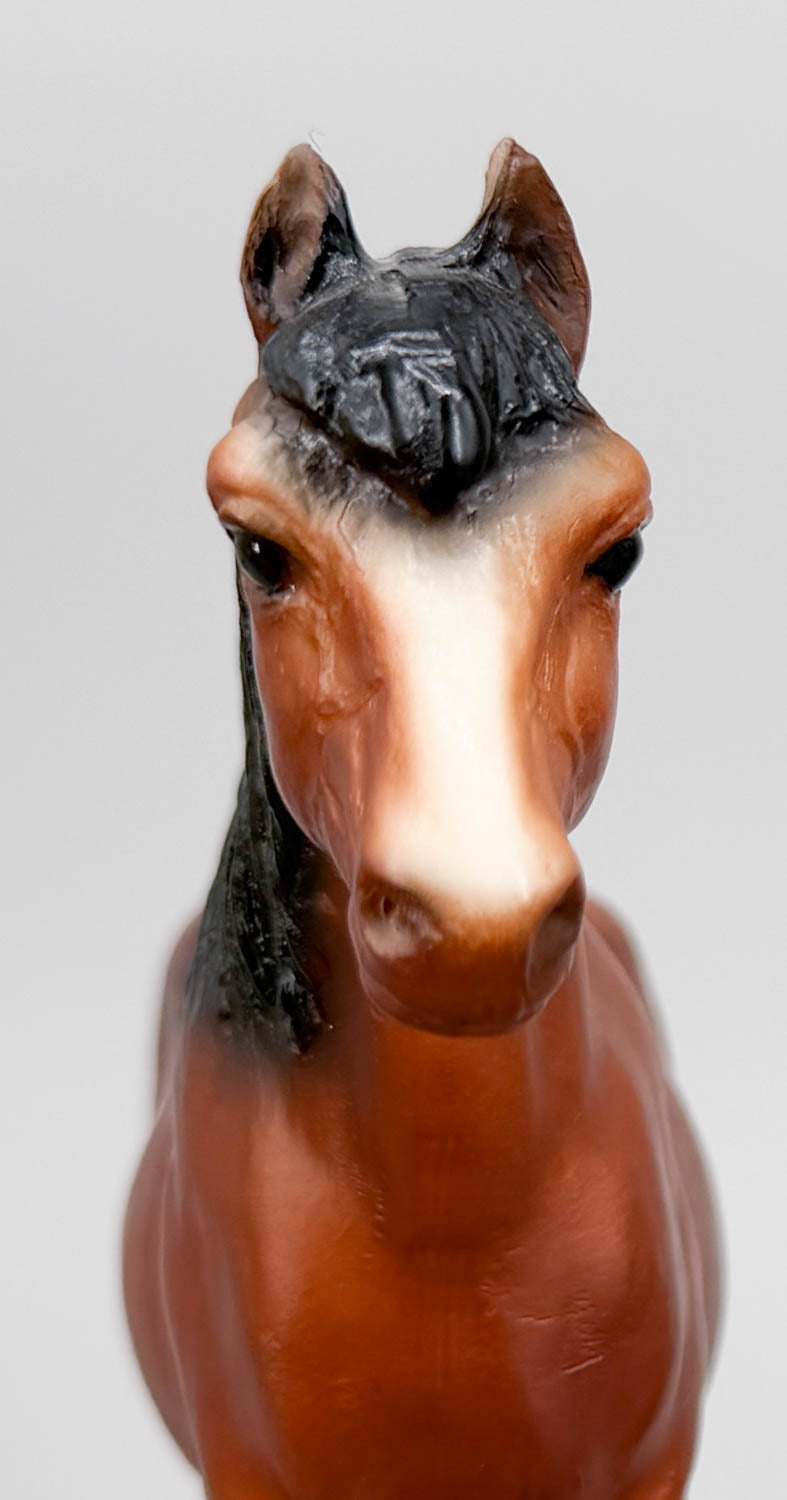 Shetland Pony, Bay w/ Slant-Wall Box