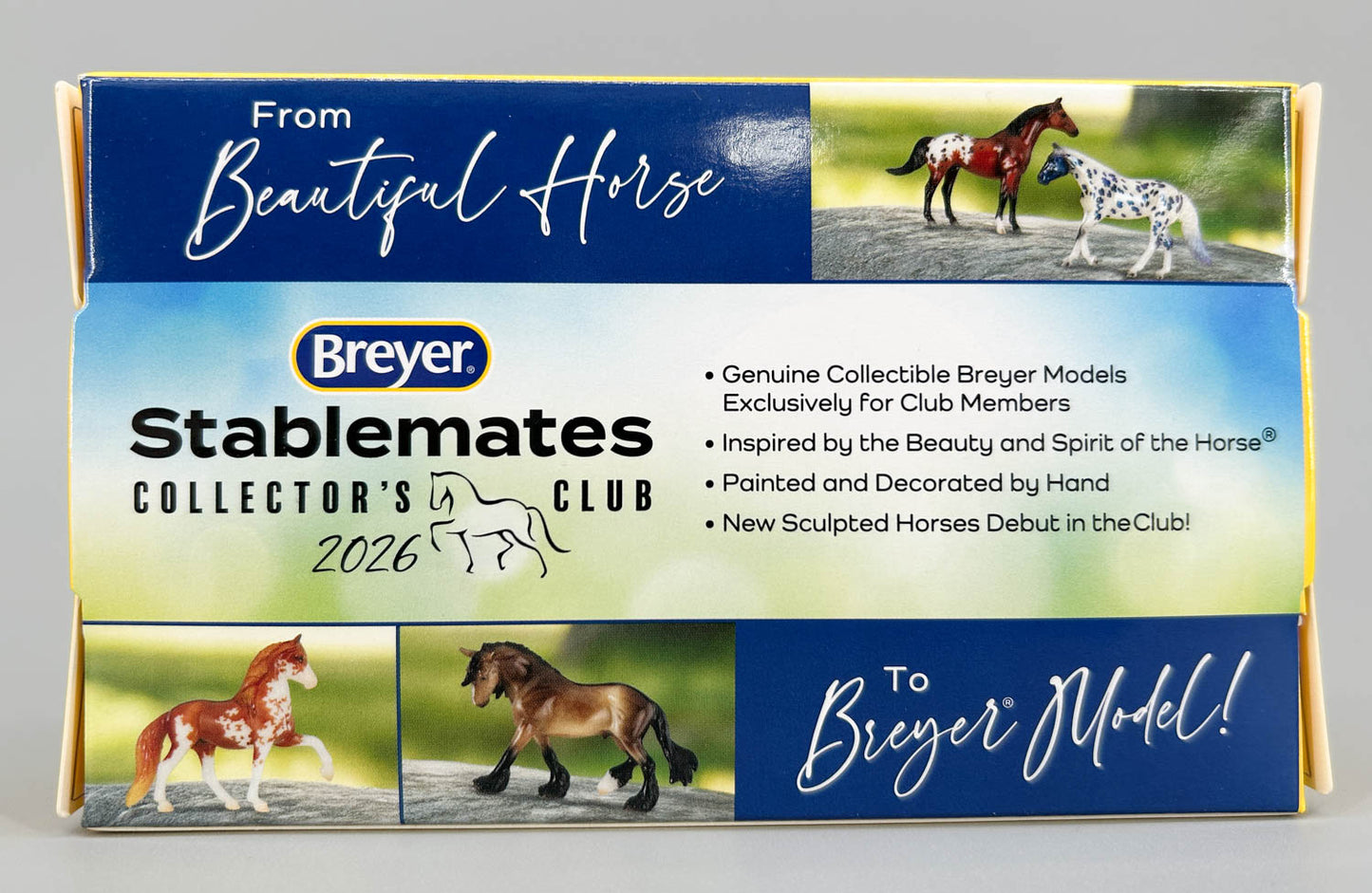 Andalusian Stallion & Frisky Foal ~ Arroyo & Baja - 2026 SM Club