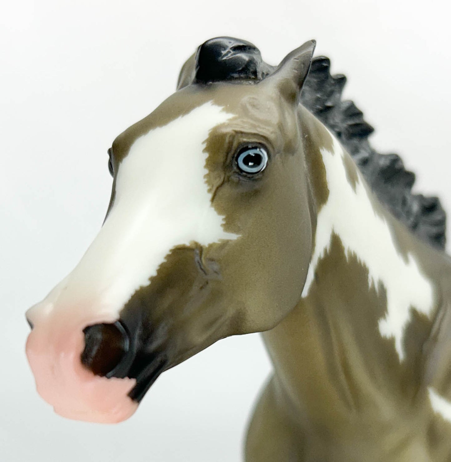 Smarty Jones ~ Windtalker - 6-Month Release