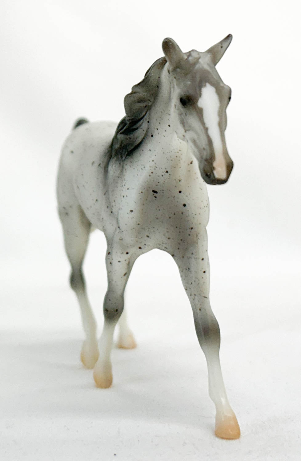 Missouri Fox Trotter, Fleabitten Grey - TSC blind bags