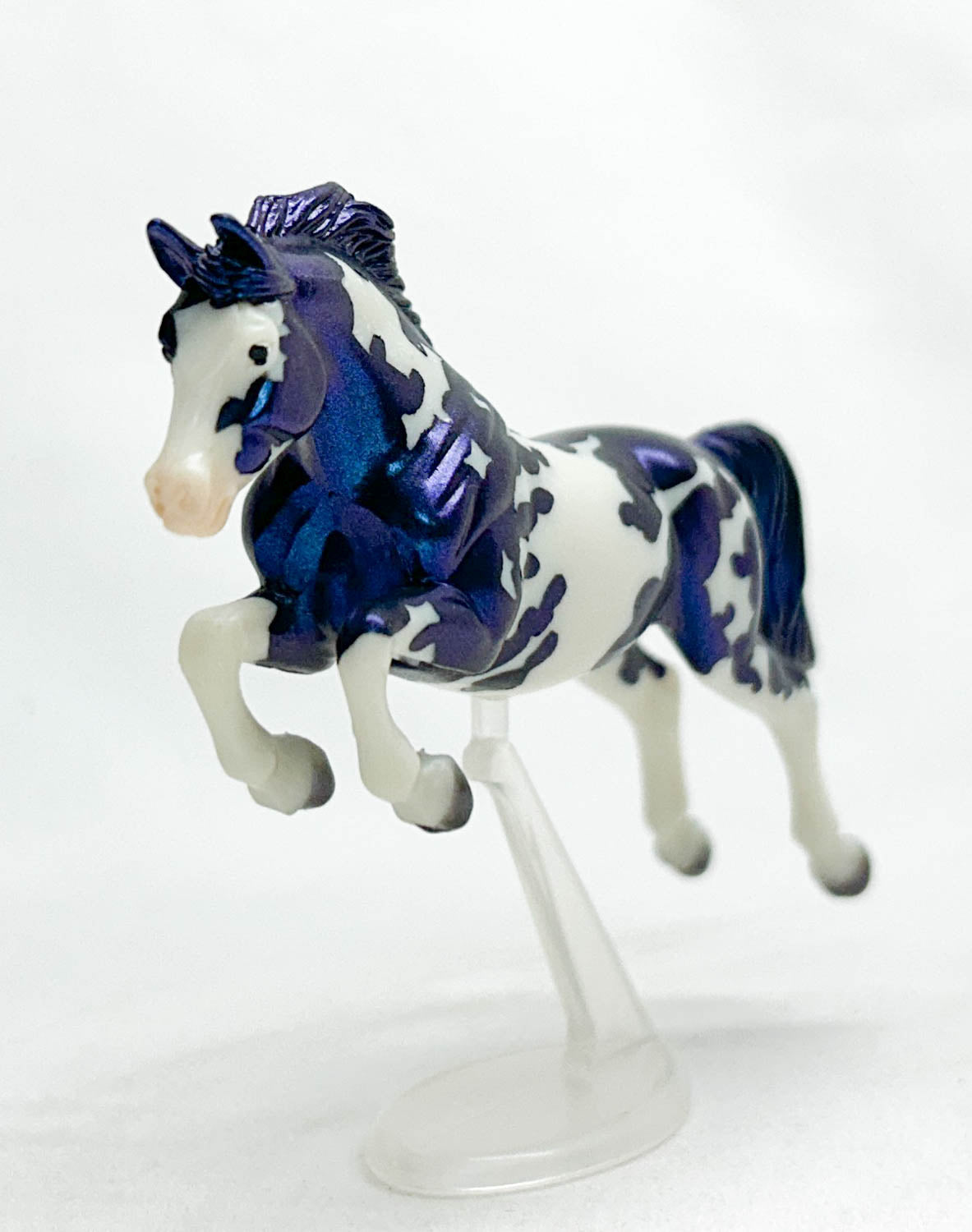 Warmblood Jumper, Mini Tabitha - 2025 Spooky Surprise