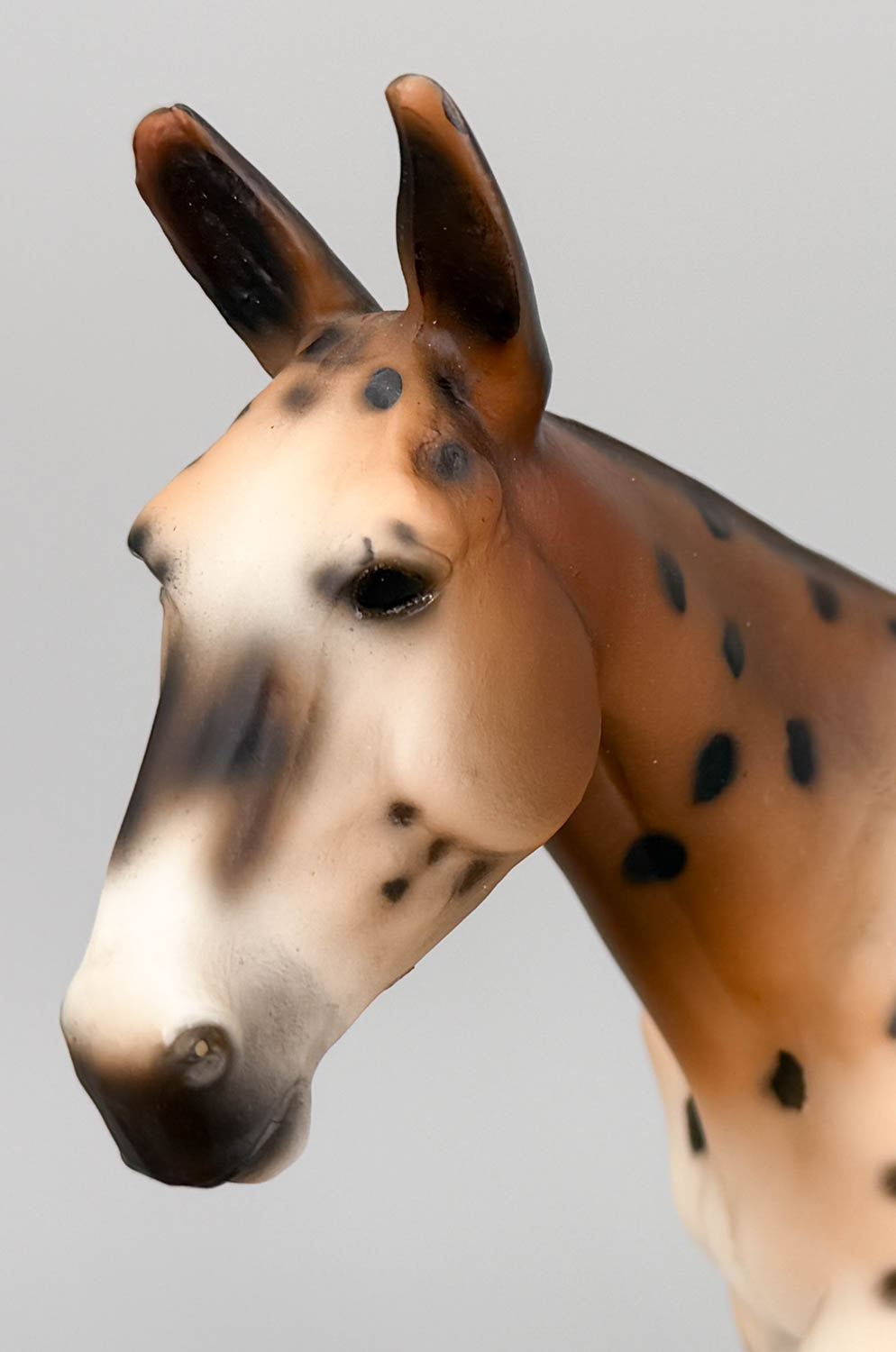 Walking Mule ~ Spotted Mule