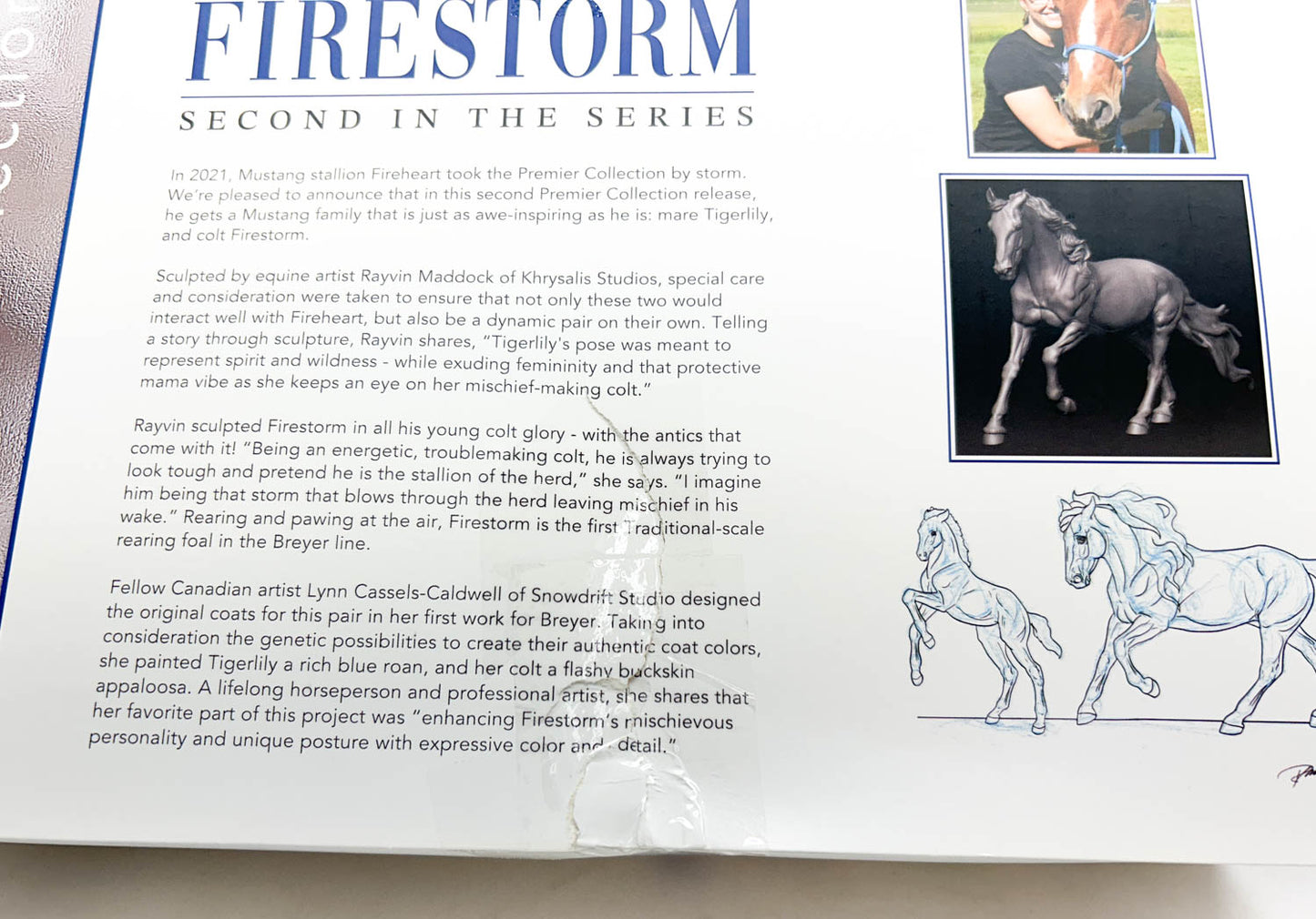 Cantering Mustang Mare & Rearing Mustang Foal ~ Tigerlily & Firestorm - Premier Club