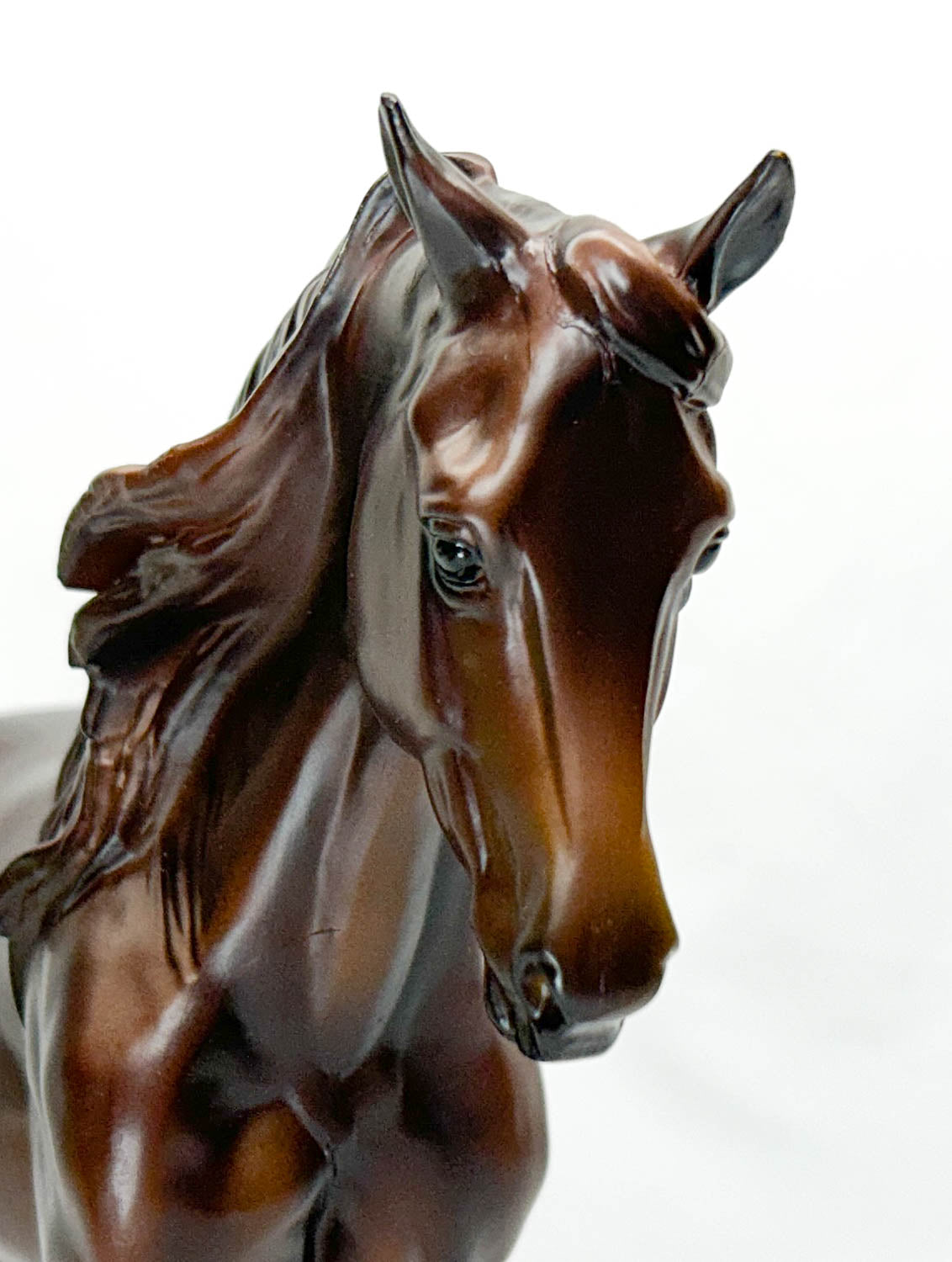 Foundation Morgan ~ MorganQuest Native Sun