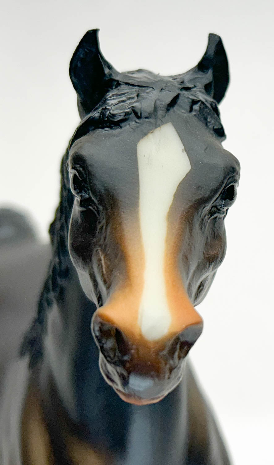 Stretch Morgan ~ Stonington - Mid-States Dist. SR